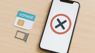 voyageesim-not-connected