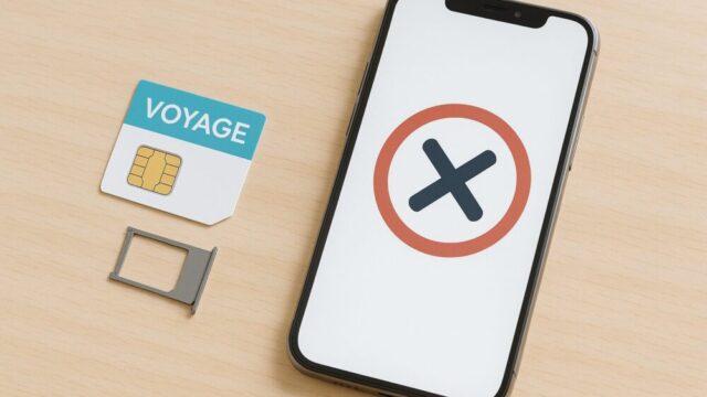 voyageesim-not-connected