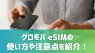 gmobile-biz-esim-use