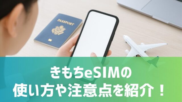 kimochiesim-use